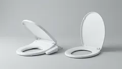 Kannattaako ostaa älykäs wc-istuin: vastaus yllättää sinut